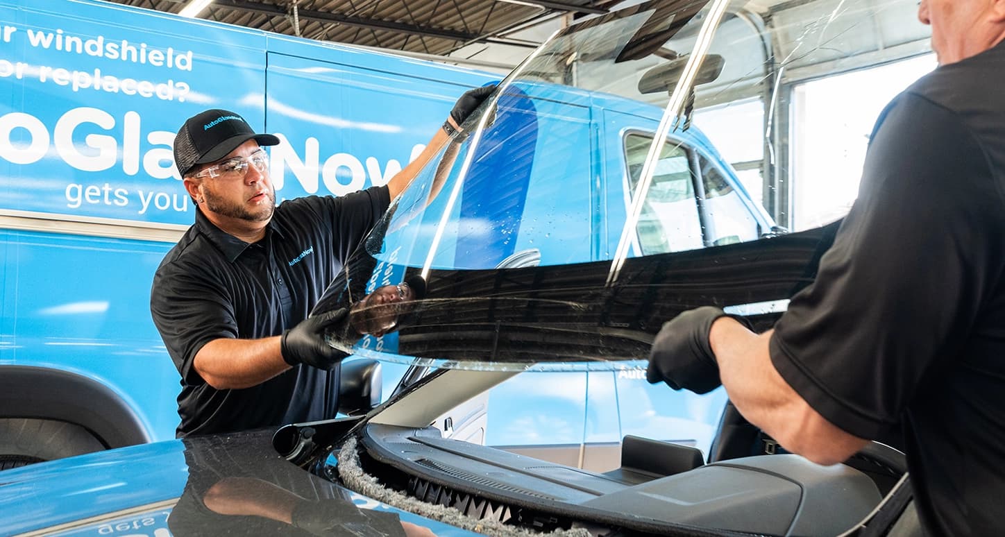 Technicians replacing windshield.